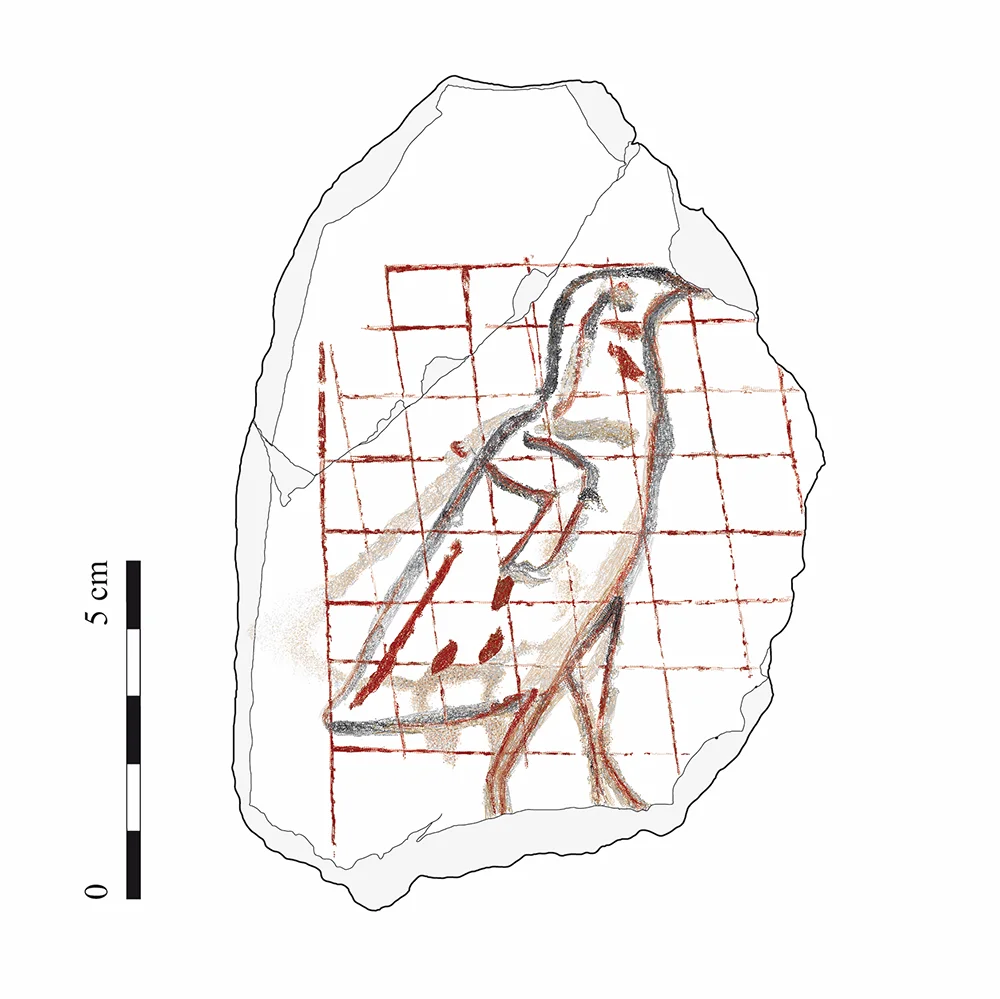 Faksimile eines Ostrakons mit Vor- und Übungszeichnung einer Hieroglyphe (Wachtelküken) in Rot und Schwarz